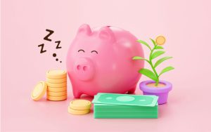 Sleeping Piggy Bank with money