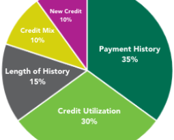 Build Your Best Credit Score